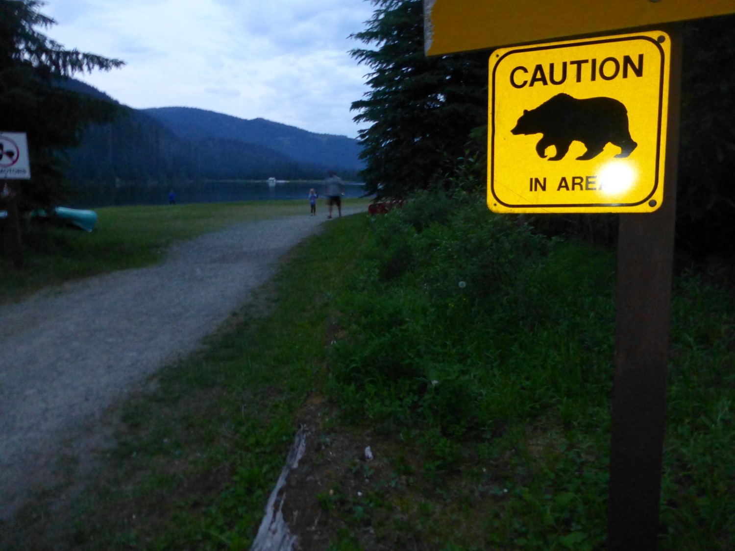Bjørne i Canada?