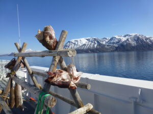 Tørret fisk på Hurtigruten